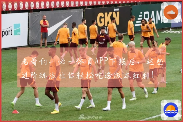 老哥们，必一体育APP下载后，这些进阶玩法让你轻松吃透版本红利！