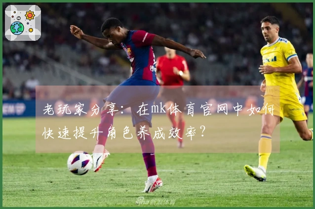 老玩家分享：在mk体育官网中如何快速提升角色养成效率？