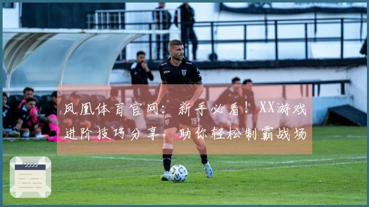 凤凰体育官网：新手必看！XX游戏进阶技巧分享，助你轻松制霸战场，告别小白！