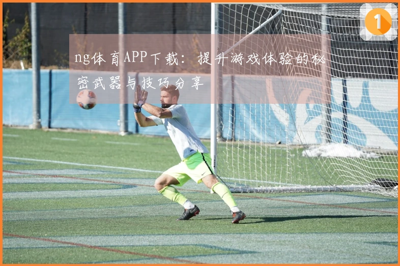 ng体育APP下载:提升游戏体验的秘密武器与技巧分享