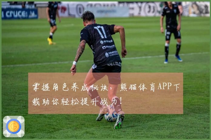 掌握角色养成秘诀，熊猫体育APP下载助你轻松提升战力！