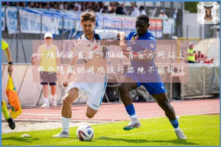 一线玩家直言：mk体育官方网站上那些隐藏的游戏技巧你绝不能错过